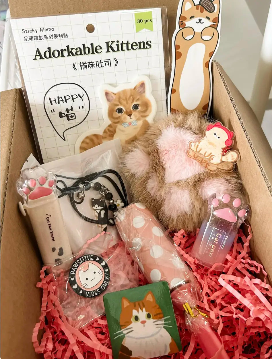 Mini Cat Kawaii Bundle Box – 8+ Items (Curated Set)