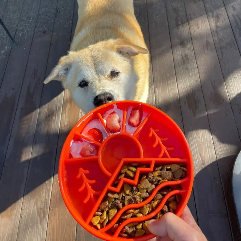 Sodapup Great Outdoors Ebowl Enrichment Slow Feeder Bowl for Dogs 8” Wide X 8” Tall Segmented Design for Healthy Eating & Digestion - Feeding