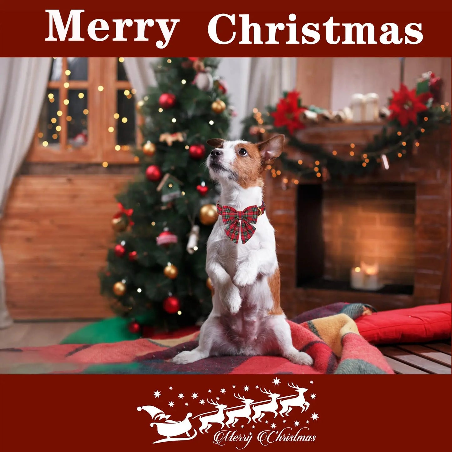Festive Plaid Dog Collar with Bow Tie, Christmas Scottish Tartan Adjustable Collar for Small Medium Large Dogs, Ideal Holiday Autumn Winter Gift for Pets-Xs