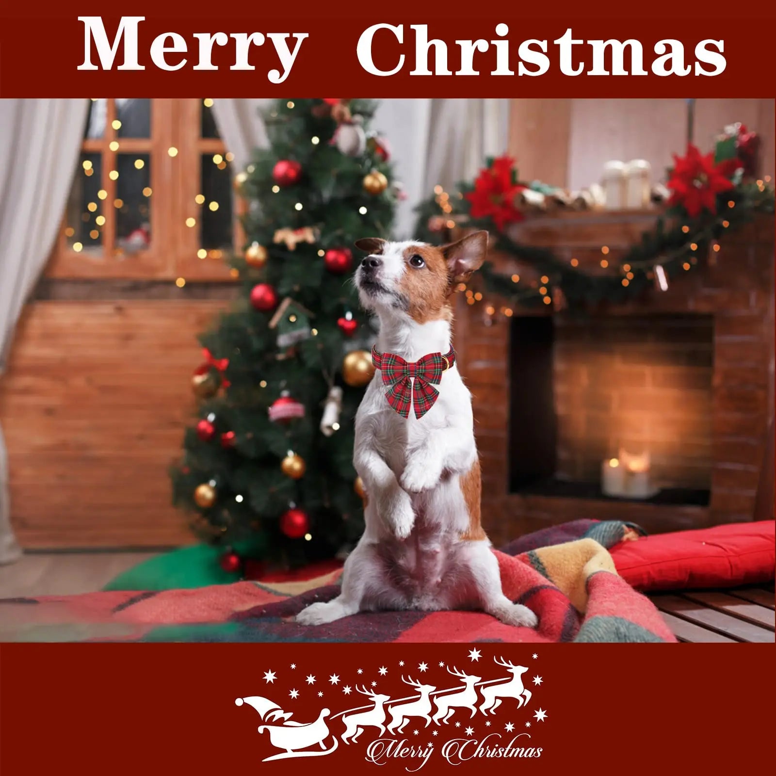 Festive Plaid Dog Collar with Bow Tie, Christmas Scottish Tartan Adjustable Collar for Small Medium Large Dogs, Ideal Holiday Autumn Winter Gift for Pets-Xs