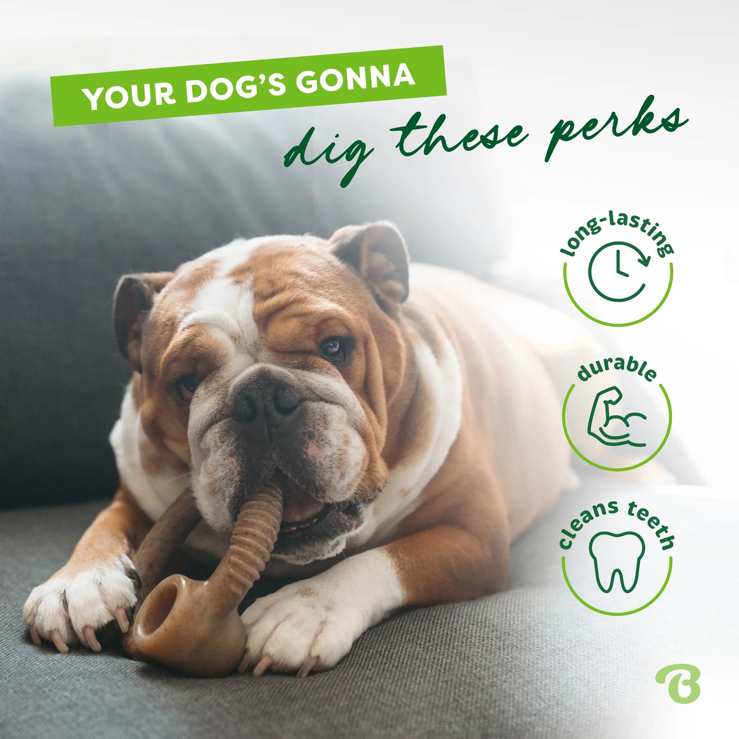 Ring | Durable Dog Chew Toy | Real Flavor & Long-Lasting Play + Enrichment