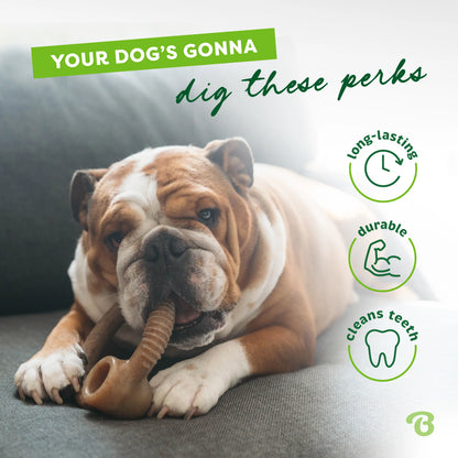 Ring | Durable Dog Chew Toy | Real Flavor & Long-Lasting Play + Enrichment