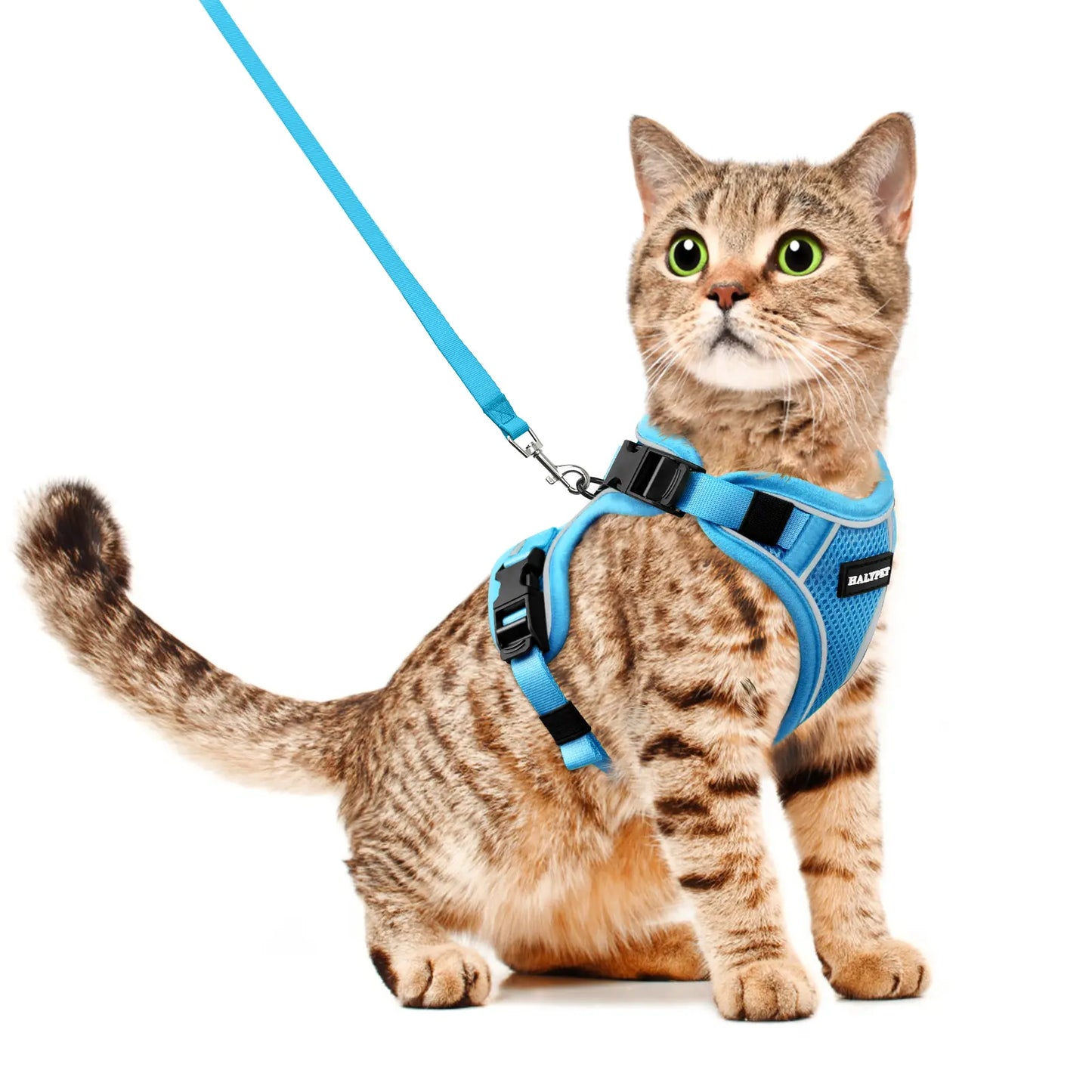 Halypet Adjustable Escape Proof Cat Harness and Leash Set, with Security Lock and Reflective Band，Mesh Harness Pet Leash Collar Custom No Pull Outdoor