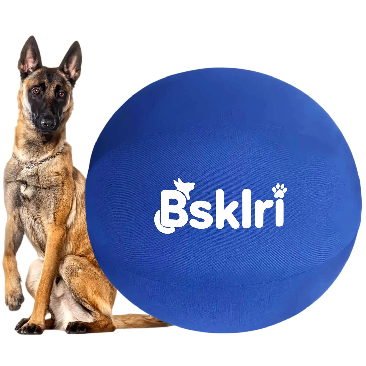 Dog Herding Ball - Push & Chase Toy for Supervised Outdoor Play (NOT for Aggressive Chewing)