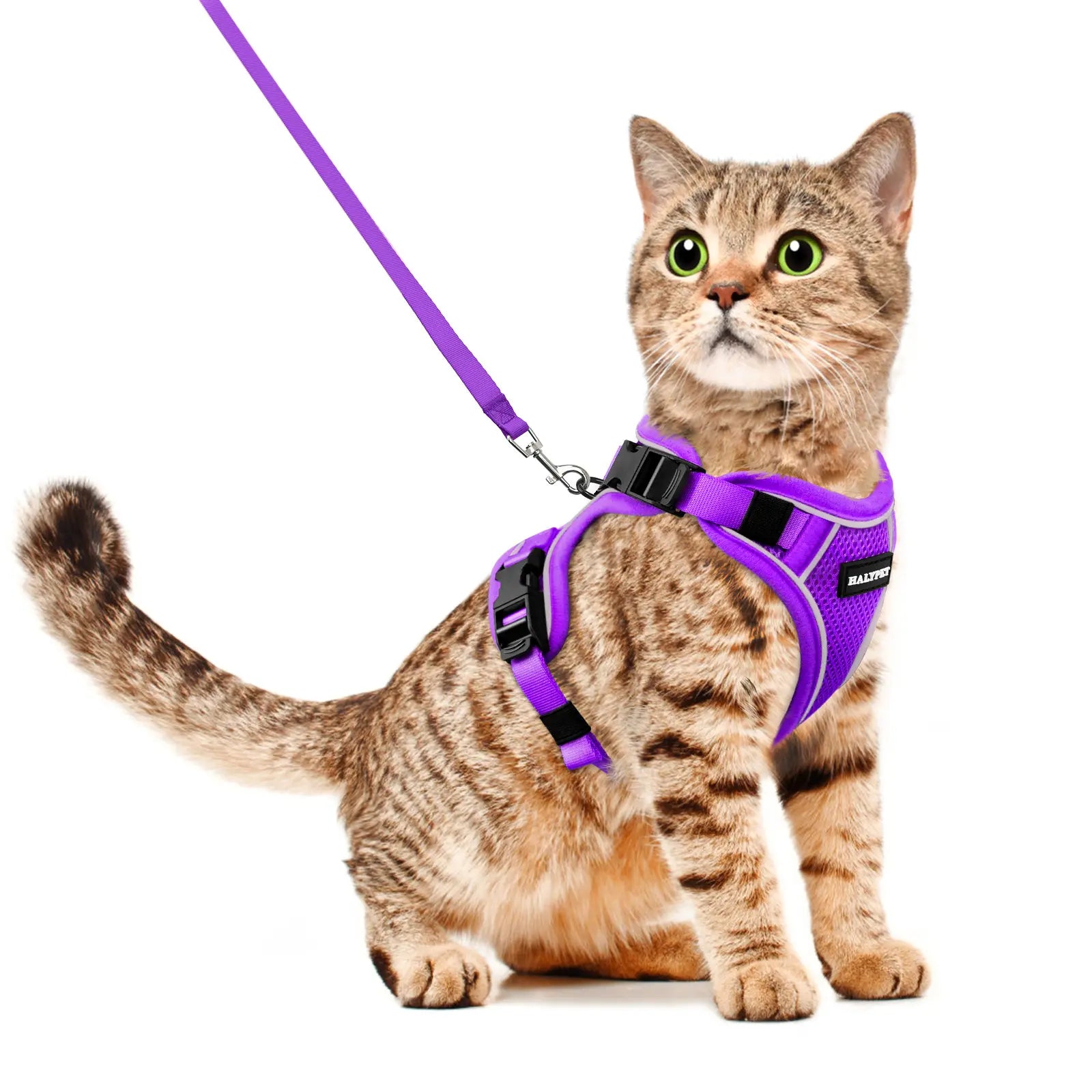 Halypet Adjustable Escape Proof Cat Harness and Leash Set, with Security Lock and Reflective Band，Mesh Harness Pet Leash Collar Custom No Pull Outdoor