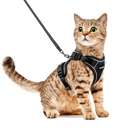 Halypet Adjustable Escape Proof Cat Harness and Leash Set, with Security Lock and Reflective Band，Mesh Harness Pet Leash Collar Custom No Pull Outdoor