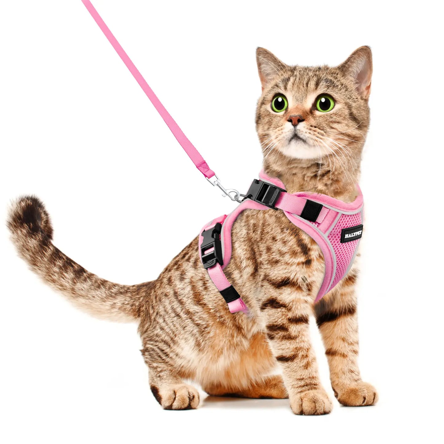 Halypet Adjustable Escape Proof Cat Harness and Leash Set, with Security Lock and Reflective Band，Mesh Harness Pet Leash Collar Custom No Pull Outdoor