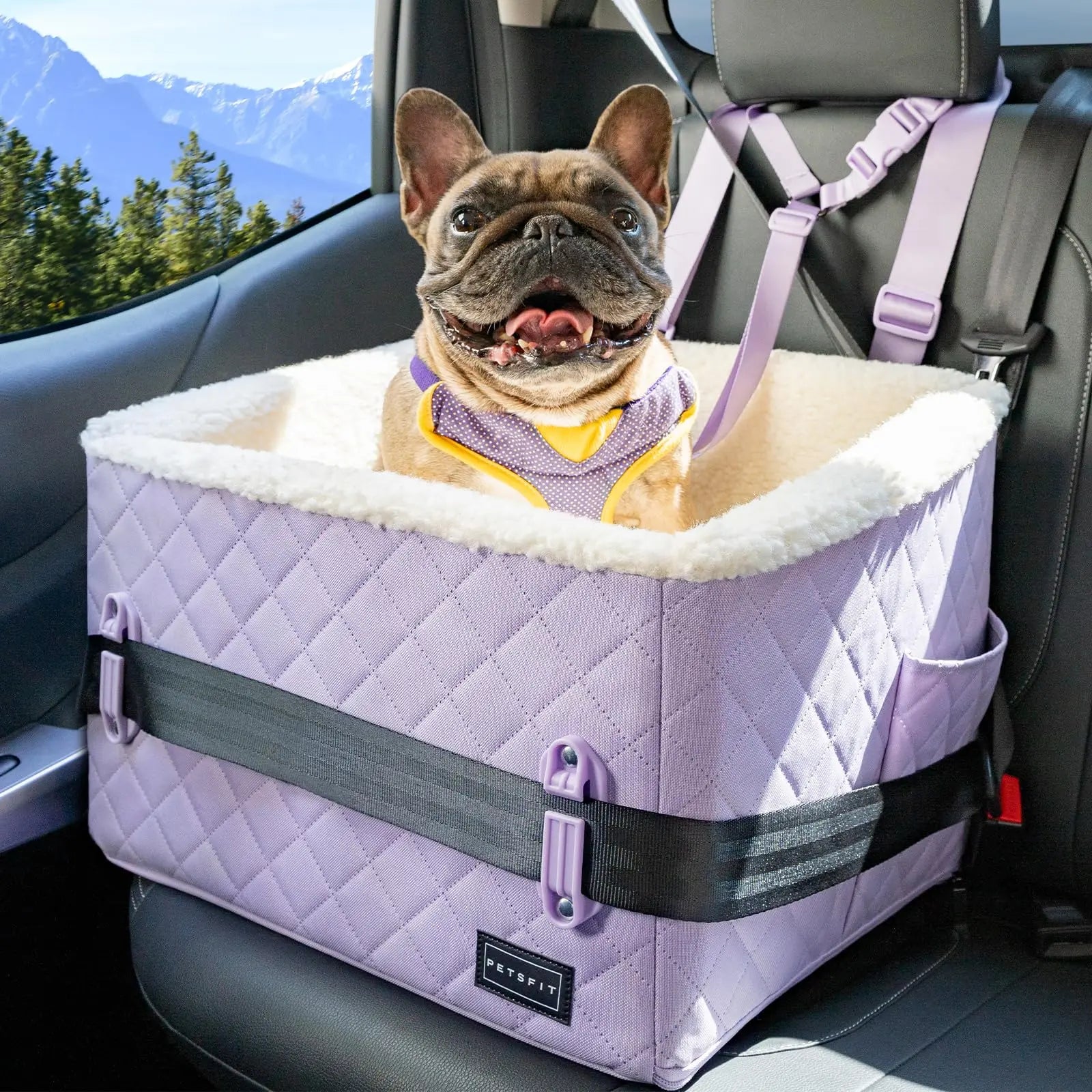 [5-Year Warranty] PETSFIT Dog Booster Car Seat, Soft Foam Cat Car Seat with Patented Safety Buckles, Storage Pockets and Detachable Clip-On Safety Leash, Dog Car Seats for Small Dogs under 30 LBS