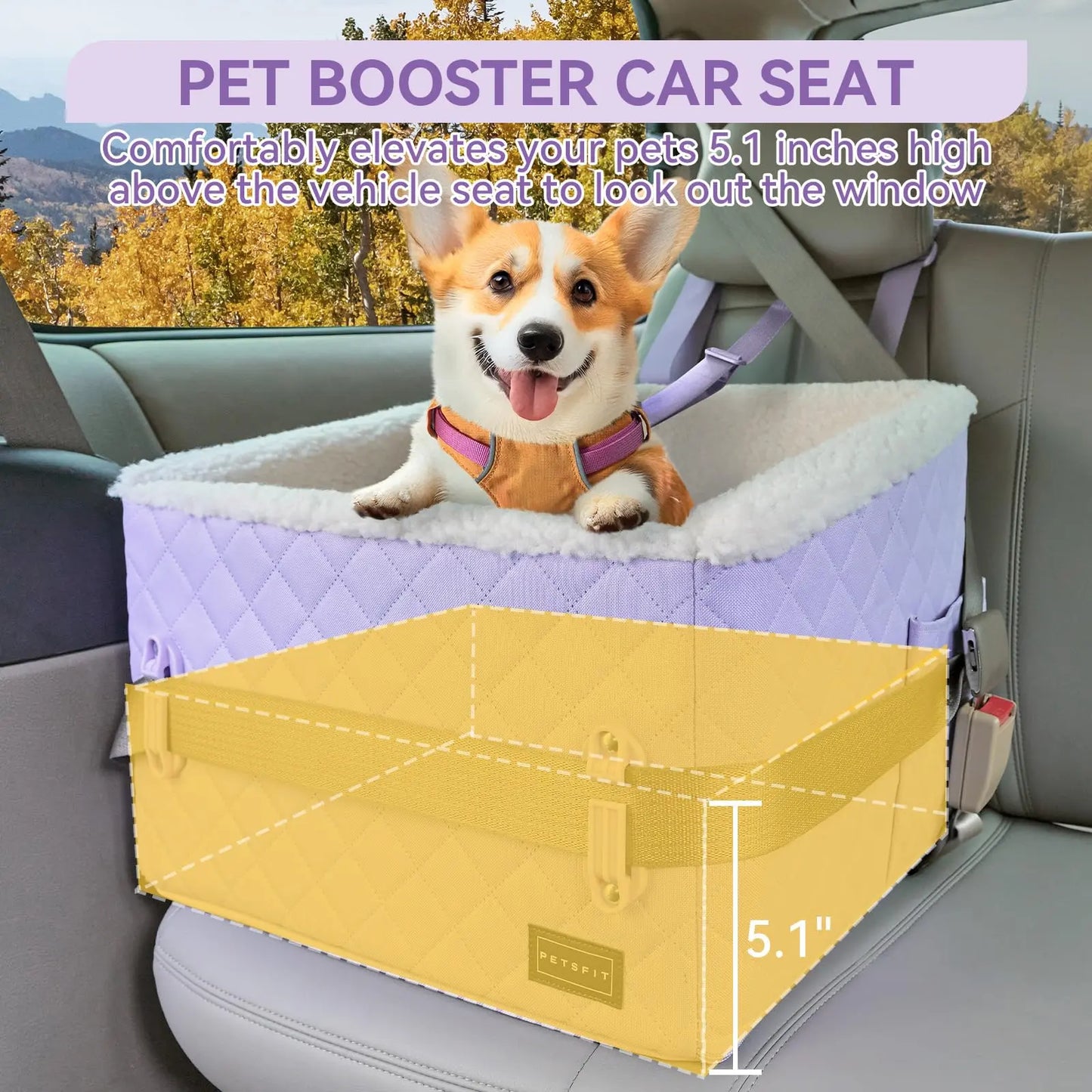 [5-Year Warranty] PETSFIT Dog Booster Car Seat, Soft Foam Cat Car Seat with Patented Safety Buckles, Storage Pockets and Detachable Clip-On Safety Leash, Dog Car Seats for Small Dogs under 30 LBS