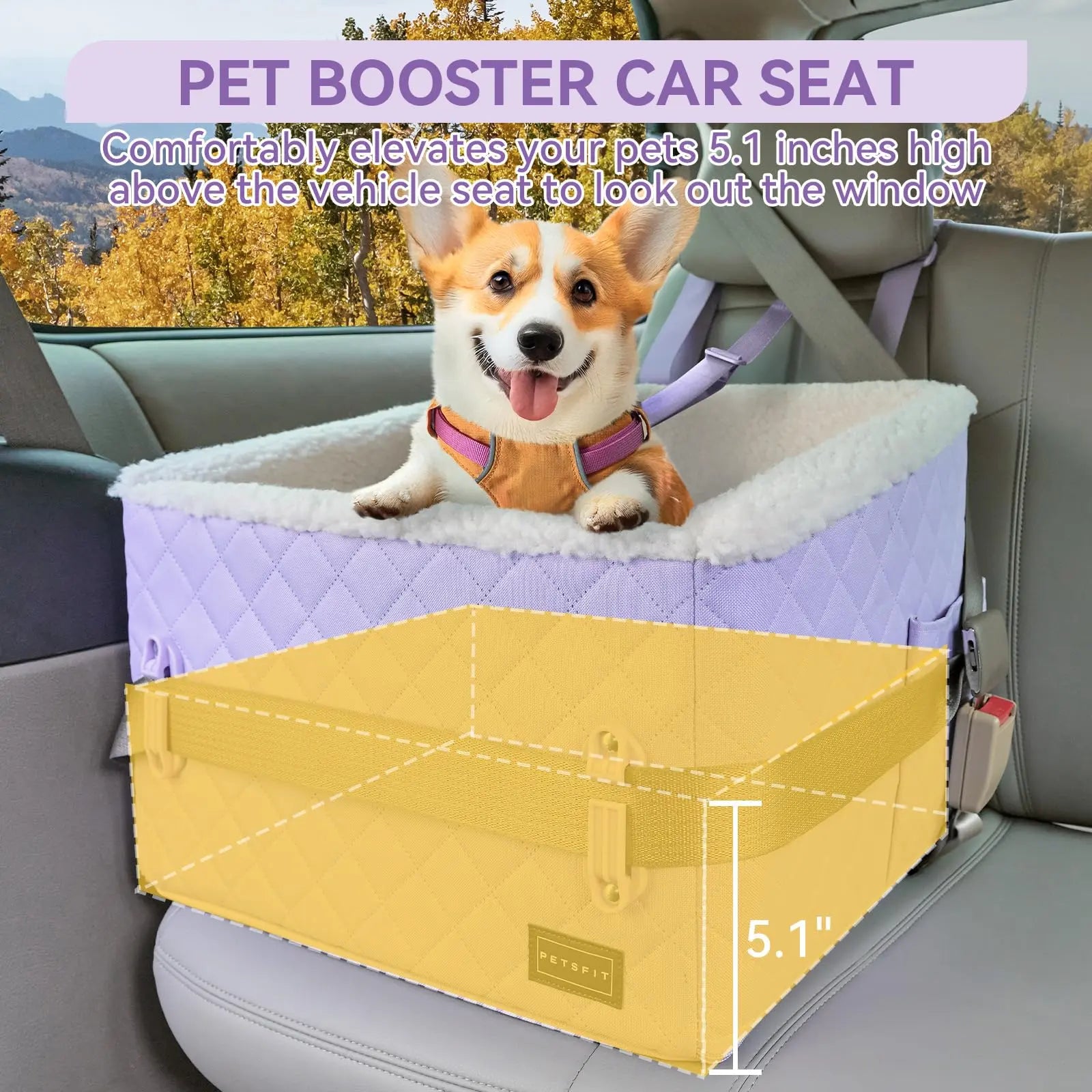 [5-Year Warranty] PETSFIT Dog Booster Car Seat, Soft Foam Cat Car Seat with Patented Safety Buckles, Storage Pockets and Detachable Clip-On Safety Leash, Dog Car Seats for Small Dogs under 30 LBS