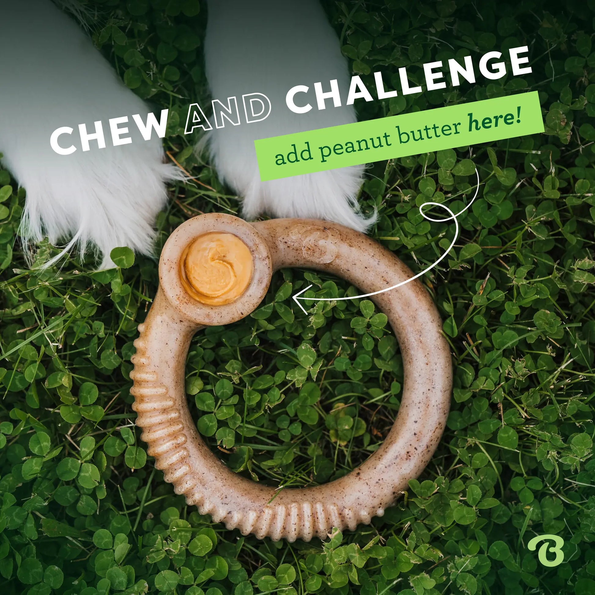 Ring | Durable Dog Chew Toy | Real Flavor & Long-Lasting Play + Enrichment