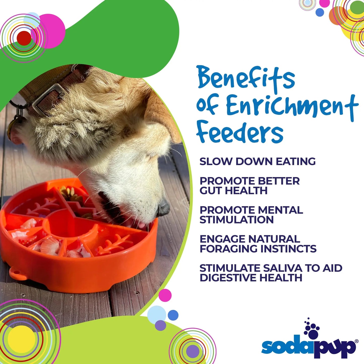 Sodapup Great Outdoors Ebowl Enrichment Slow Feeder Bowl for Dogs 8” Wide X 8” Tall Segmented Design for Healthy Eating & Digestion - Feeding