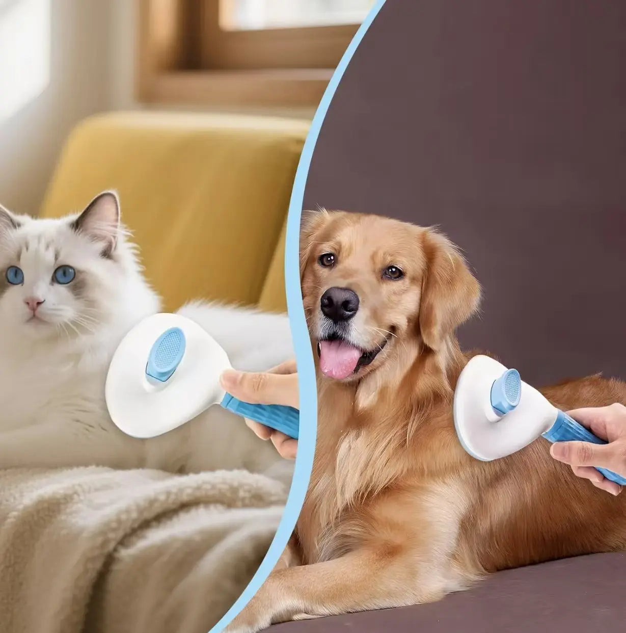 Pet Hair Removal Tool Set- 2 Pet Hair Removal Combs Suitable for Dogs and Cats Grooming, Get It Free 1 Electrostatic Pet Hair Removal Glove - Ideal for Removing Pet Hair from Sofas, Carpets and Car Seats Shedding Brush