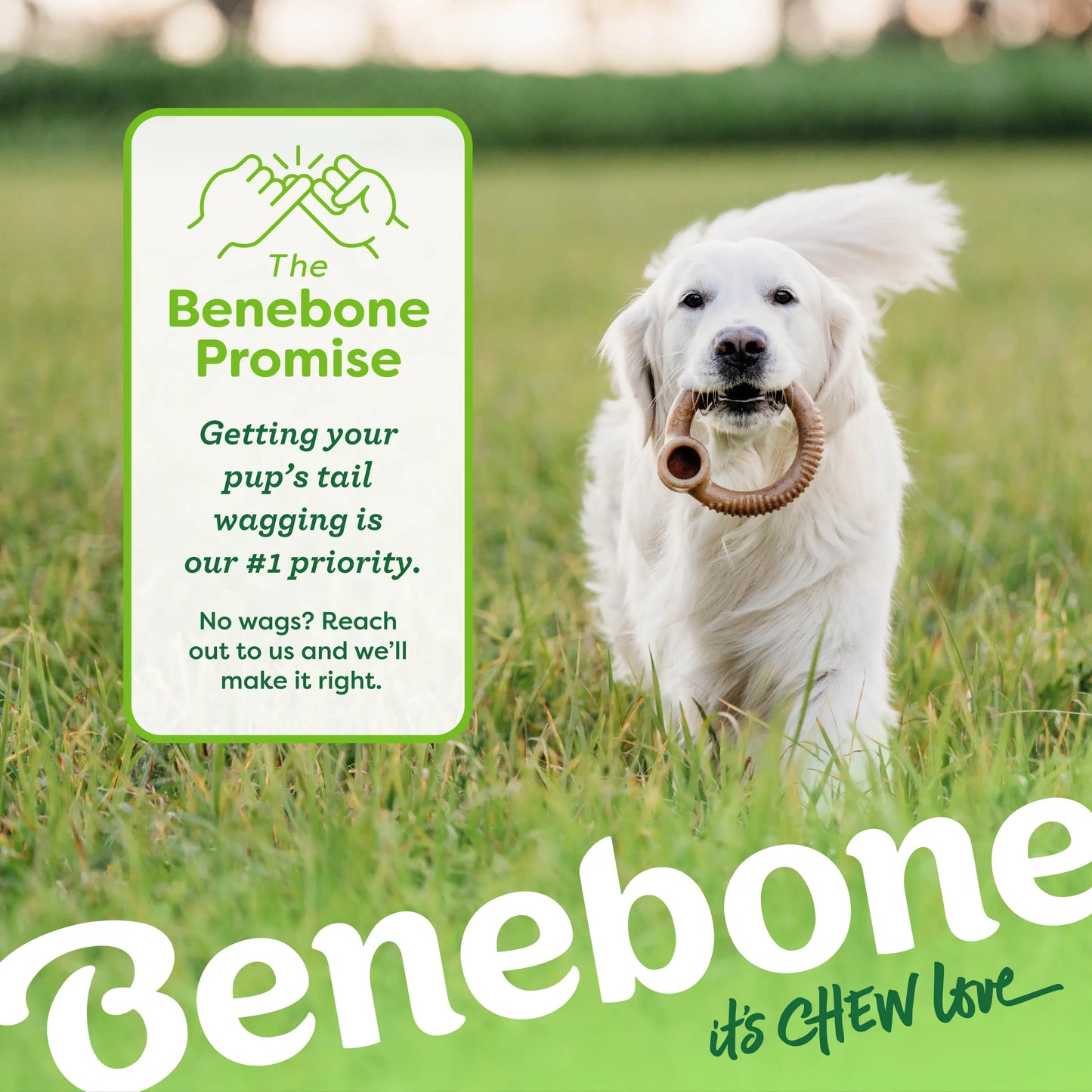 Ring | Durable Dog Chew Toy | Real Flavor & Long-Lasting Play + Enrichment