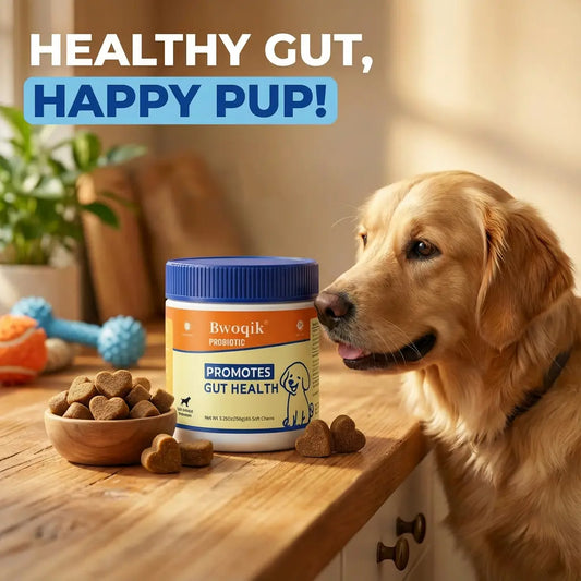 BWOQIK Pet Probiotics for Dogs and Cats - Omega Bite Supplement for Enhanced Digestive Health and Gut Wellness