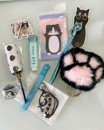 Mini Cat Kawaii Bundle Box – 8+ Items (Curated Set)
